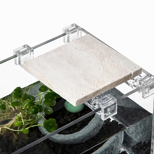 10 Pcs Aquarium Lid Clips, Clear Acrylic Fish Tank Holder Cover Clamps for Rimless Glass Top, Fishtanks Cover, Hoods Decor Fish Tank Accessories - color: Suitable for 5mm