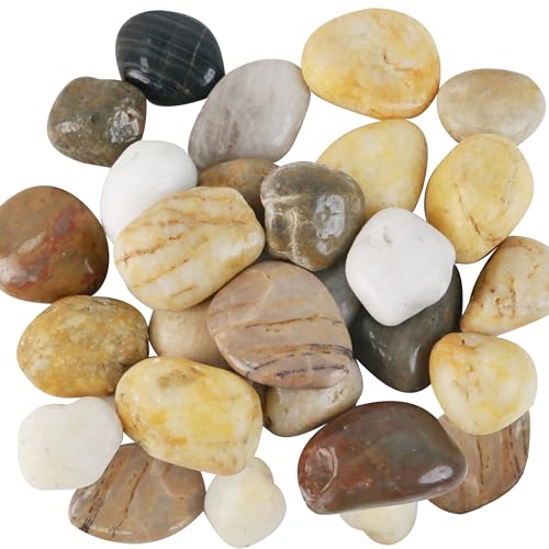 Sunnyglade 5 LBS River Rocks, 2-3 Inch Natural Pebbles for Indoor Plants, High Polished Decorative Stones Vase Filler Fish Tank Aquariums Landscaping Garden Outdoor and Indoor DIY (5, Pounds) - size: 5 Pounds
