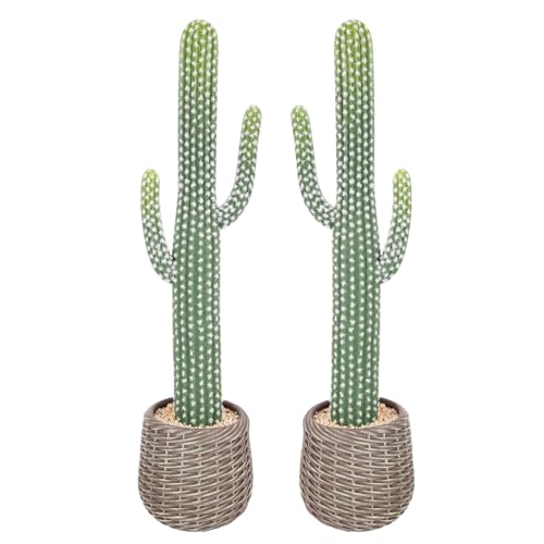 33 Inch Tall Realistic Cactus Plant Artificial with Plastic Woven Planter Decoration Indoor, Lifelike Fake Cactus Plant for Home Office Garden Store Porch Patio Decor. - size: 33 Inch-2Pcs