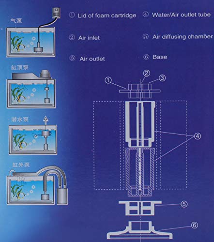 ALEGI Aquarium Sponge Filter with Airline Tubing, Check Valves, Suction Cups for 55 Gallon Fish Tank, Betta, Nano, Shrimp, Fry - size: Large up to 55Gal 2 Pcs