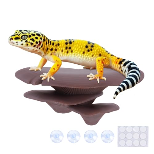 Westant Mushroom Decor for Reptile Tank, Fish Tank, Pet-Safe Bearded Dragon Tank Accessories, Realistic Terrarium Plants for Leopard Geckos, Crested Geckos, Tree Frogs, Snakes (Cocoa, Trio Cap) - color: Cocoa, size: Trio Cap
