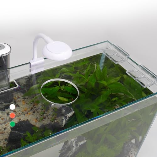3 Gallon Glass Small Fish Tank, Betta Fish Tank Starter Kit with Filter, Lights,Lid. - size: 3 Gallon