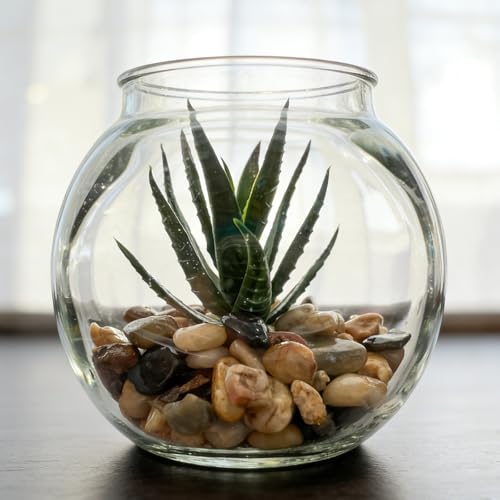 10LB Decorative River Rocks Gravel -2/5/'' Mixed Color Gravel for Vase Filling, Flower Pot Paving. Gravel for Garden Decoration,Landscaping,Aquarium Aquascape Gravel, Fish Tanks Gravel. - size: 10LB, style: 8-12MM