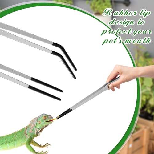 Lasnten 2 Pcs Extra Long Stainless Steel Reptile Feeding Tongs with Rubber Tip 15 Inch Bearded Dragon Aquarium Straight and Curved Long Tweezer Terrarium Feeder Tool for Tank(Silver) - color: Silver, size: 15 Inch