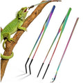 OLIISS Stainless Steel Reptile Feeding Tongs and Spoon Set - 10.6" Straight & Curved Tweezers for Aquariums & Crafts - Feeder Tools for Bearded Dragons & Lizards - Terrarium Tank Supplies - size: 10.6"(with Spoon)