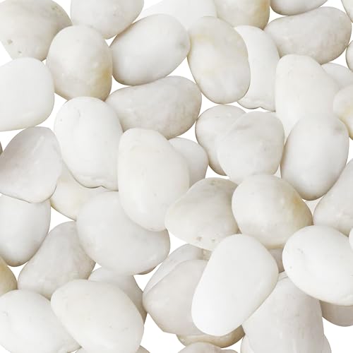 Sunnyglade 18 LBS White River Rocks, 2-3 Inch Natural Pebbles for Indoor Plants, High Polished Decorative Stones Vase Filler Fish Tank Aquariums Landscaping Garden Outdoor and Indoor DIY (18 Pounds) - size: 18 Pounds