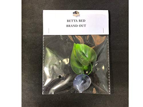 CousDUoBe 3 Pack Betta Fish Leaf Pad Improves Betta's Health by Simulating The Natural Habitat - Natural, Organic, Comfortable Rest Area for Fish Aquarium Ornaments - size: 3 Pack