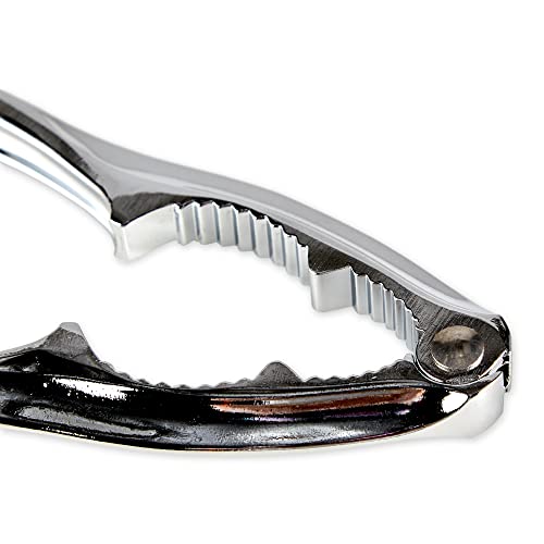 RSVP International Endurance Collection Seafood Tool, Cracking Tools, 8 Piece, Stainless Steel - size: Cracking Tools, 8 Piece