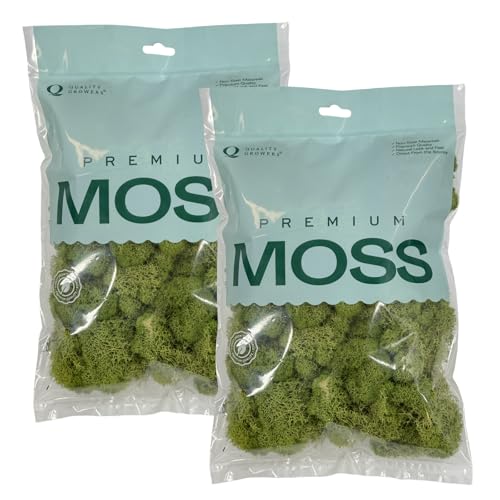 Quality Growers - Preserved Reindeer Moss - Moss for Crafts, Home Decor, Art, Design & DIY Projects - Non-Toxic - USA Made (Spring Green, Small, 2-Pack) - color: Spring Green, size: Small (2-Pack)