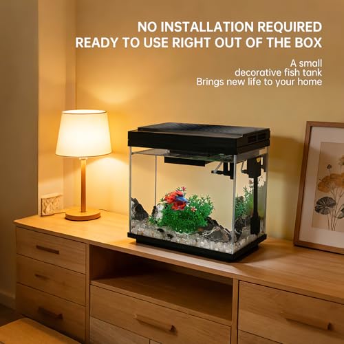 FS&AQ 3 Gallon Fish Tank with Filter and Light No-Install Small Aquarium Starter Kit