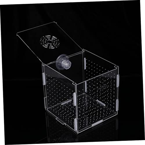 FRCOLOR Modern Fish Tank Isolation Box Clear Aquarium Breeding Box Suction Cup Ideal for Guppies and Betta