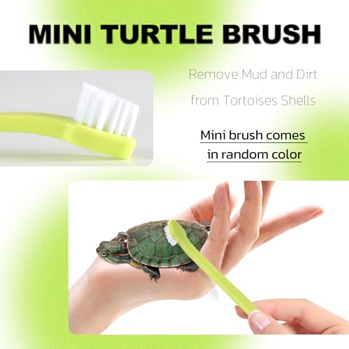 Turtle Brush, Turtle Tank Accessories, Turtle Shell Cleaning Brush Set, Aquatic Tortoise Tank Supplies