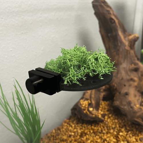 Chatelet REEFSHAPE Aquarium Moss Ledge | Attachable Moss or Plant Ledge for Fish Tanks | Platform for Aquatic Plants | Made in USA (3", Green) - color: 3", Green