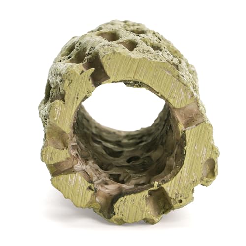 Hiceeden 2 Pcs Resin Cholla Wood for Aquarium, 6" Shrimp Hideout Driftwood Decor, Shrimp Cave Tank Accessories, Climbing & Chew Toy for Aquatic Habitat, Hermit Crabs, Fish, Snail, Reptiles