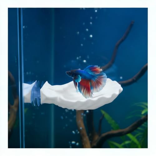 Betta Fish Hammock, Shell Pad with Strong Suction Cup Natural Resting Bed for Bettas Soft Fin-Safe Silicone Betta Fish Tank Decor and Accessories (White Large) - color: White Large
