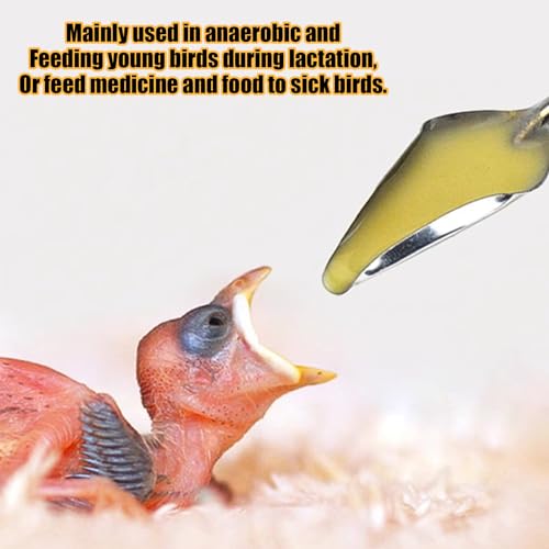 Baby Bird Feeding Syringe Set, Pet Parrot Milk Feeding Syringe with Tubes, Parrot Feeding Tubes Measuring Tools for Feeding Pets Scientific Industrial Labs… (20ml + 2 spoons) - color: 20ml + 2 spoons