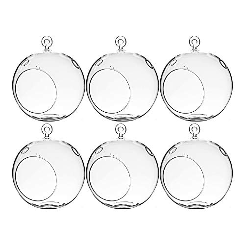 WGV Hanging Terrarium Globe, Width 6", Height 6.5", DIY Air Succulent Planter, Clear Glass Vase Orb with Flat Bottom, Candle Holder for Windowsill Outdoor Garden Decor, 6 Pieces Bulk - size: 6" Flat Bottom