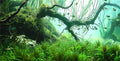 48X20IN Natural Submerged Forest Background Aquarium Background, 3D Image of Underwater Fish Tank Decoration, Greenery with 10 EVA Double-Sided Tape ﻿ - size: 48X20in/120X50cm