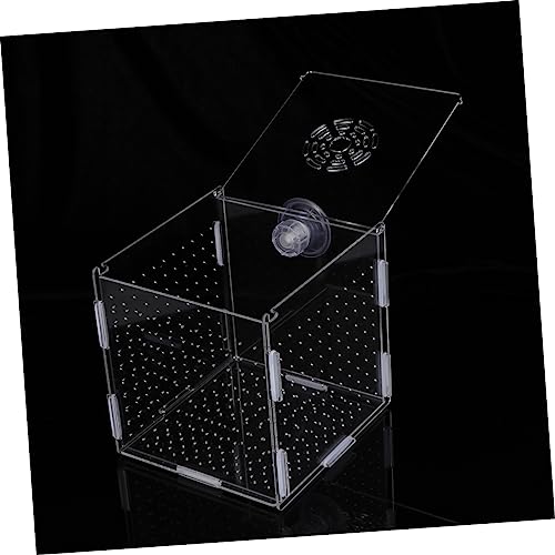 FRCOLOR Modern Fish Tank Isolation Box Clear Aquarium Breeding Box Suction Cup Ideal for Guppies and Betta