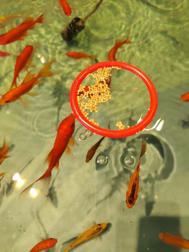Betta Fish Enrichment Toys Ring and Mirror Floating Exercise Mirrors and Training Ring Floating Mirrors Aquarium with Feeding Rings Aquarium Accessories with Suction-Cup (Red) - color: Pink
