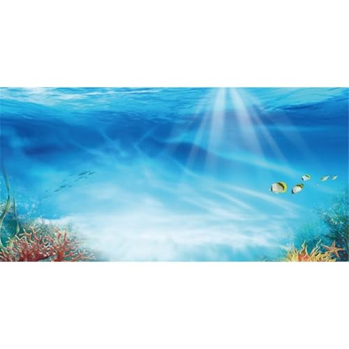 AWERT Undersea Theme Aquarium Background Colorful Coral Tropical Fish Sunshine Underwater World Fish Tank Background 60x24 inches Vinyl - size: 60x24in/150x60cm