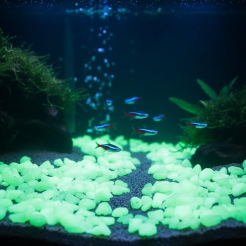 Shiny Stone Glow in The Dark Aquarium Neon Gravel Sand, Decorative Rocks for Fish Tank and Fairy Garden, Home Dec,305g/0.67lbs (8-15mm, Yellow Green) - color: Yellow Green, size: 8-15mm