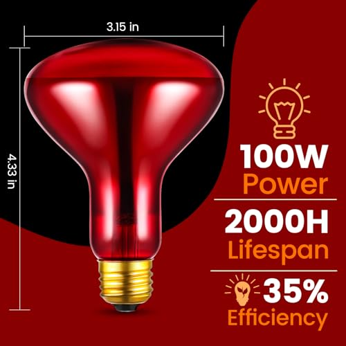 REPTITRIP Dual Reptile Lamp Fixture with 100W Daytime Heat & 100W Nighttime Infrared Heat Bulbs, 2 Independent Switches, Reptile Heat Lamp Combo Pack - No UVB - size: ST2