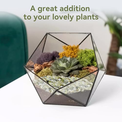 Pulovin 2.5LB Succulent and Cactus Pebbles, 1/5 Inch Jade Pebbles for Indoor Plants, Decorative Gravel for Vases, Bamboo, Succulent, Terrarium, Crafts, Cactus - color: Jade