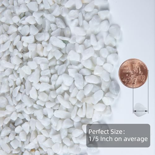 5lb Polished Aquarium Silica Gravel, Decorative Pebbles Substrate for Fish Tank, Vases, All Purpose Silica Gravel for Aquarium, Fire Pits, and Landscaping, Snow White(0.16-0.24”) - color: White Small, size: 5LB