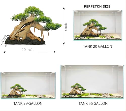 Azil Aquascape Bonsai Driftwood Tree 10” – Premium Natural Aquarium Decor for Fish Tanks, Freshwater Aquariums, Hardscape & Planted Tanks - size: bonsai 10"