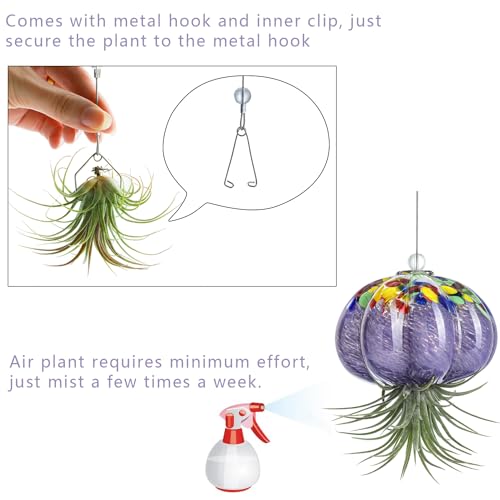 H&D HYALINE & DORA Hanging Hand Blown Art Glass Jellyfish Air Planter Terrarium Decor for Garden Porch Windowsill (No Plants) - color: Jellyfish-purple
