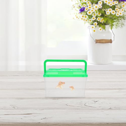 TOYANDONA 4pcs Mini Plastic Aquarium Breeding Box with Handle Fish Tank for Turtles and Small Pets Portable Transparent Container for Easy Viewing and Transport