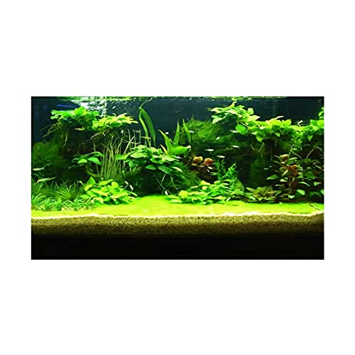 3D Prints Fish Tank Background Aquarium Underwater Backdrop Image Decor Poster for Fish Tank Wallpaper