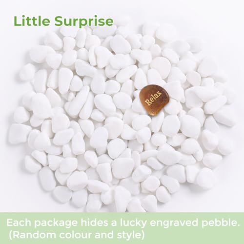 SIDONG 5 LB White River Rocks, 0.3-0.5 Inches Pebbles for Indoor Plants, Aquarium Rocks Used in Fish Tank, Decorative Stones for Plants, Vases, Home Décor, Crafting, Garden Landscaping - color: White, size: 5 Pounds