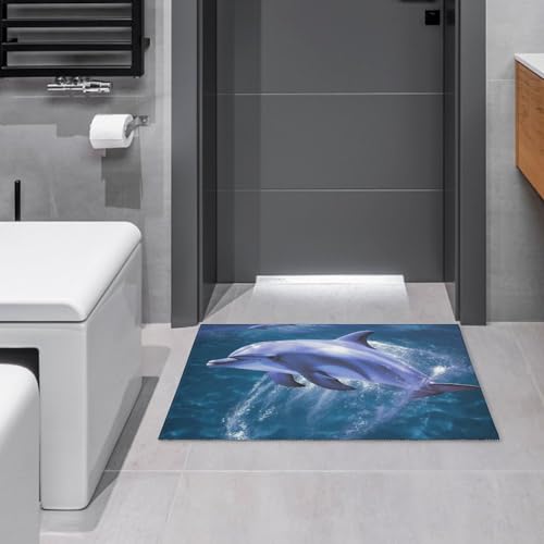 Outdoor Door Mat 15.7" X 23.6" Non-Slip Doormat Blue Ocean Dolphin Front Door Mats Quick Dry Welcome Mats for Outdoor Indoor Entrance Mat Home Decor Floor Mats for Patio - color: Blue Ocean Dolphin