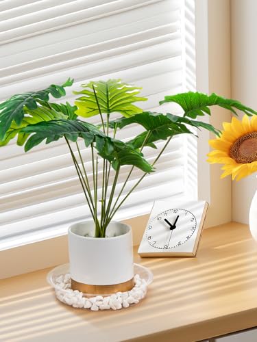GROWNEER 15 Packs 10 Inches Clear Plant Saucers Flower Pot Trays, with 15 Pcs Plant Labels, Plastic Plant Saucer Drip Trays for Indoor Outdoor Plants Garden - size: 10 Inch, 15-Pack