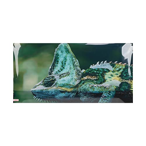 Aquarium Background PVC 3D Effects Fish Tank Decoration Picture, Self Adhesive Aquarium Sticker with Realistic Design, Non Durable Background for Freshwater (91 * 50CM) - size: 91*50CM