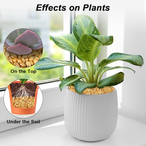 River Rocks for Landscaping,Virekm Decorative Ornamental Pebbles Garden Landscaping Stones Gravel Filler for Home Decoration Flower Bed Fish Tank Plants Vases Succulents (1, Yellow, 5 Pounds) - color: yellow, size: 5 Pounds
