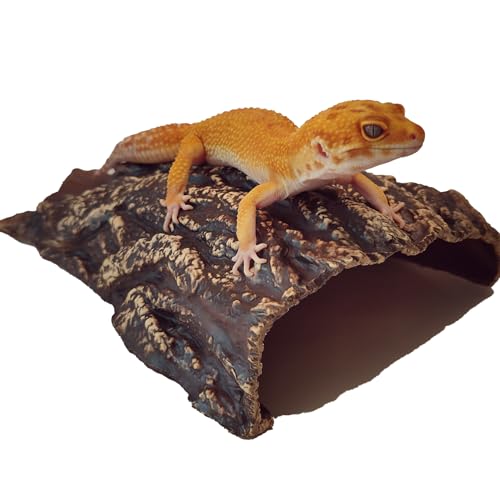 Plecoceramics Aquarium Cave - Ceramic Betta Fish Tank Decor - Natural Aquarium Decor - Large Reptile Hide - Fish cave Hideout - Snake Hide - Cave for Cichlids and plecos (Cave)