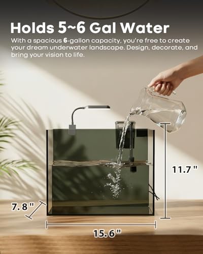 Wonderfactory 5 Gallon Small Aquarium Set Glass Fish Tank 6 Gallon, Starter Kit with Heater Water Pump Cleaning System Filter Bright Light Rocks Gravel Cleaning Tool, Clear Rimless Betta Plants - size: 5 Gallon