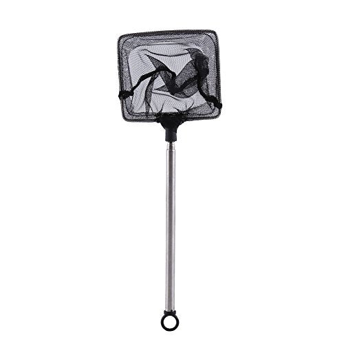 Zerodis Fish Tank Landing Net Fish Tank Cleaning Tools Adjustable from 16Cm to 44Cm with Hanging for Aquarium Shrimp Square Round Landing Net Telescopic - size: Square