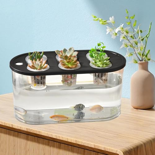 Hydroponic, Hydroponic System, Planting Container, 6 Holes, Indoor Tabletop Mini Aquarium for Plants and Fish, Black - color: Black