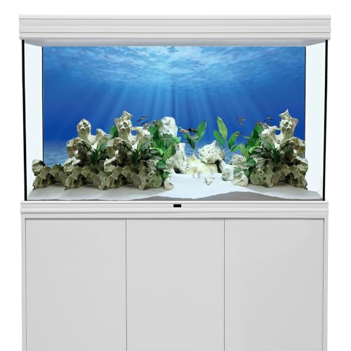 AWERT Undersea Aquarium Background Sunshine Underwater Ocean Floor Fish Tank Background 48x20 inches Polyester Background - size: 48 x 20 inches