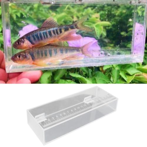 Fishing Photo Tank Fish Isolation Box Acrylic Aquarium Transparent Hatching Incubator Case, 22x4.2x8cm - color: 22x4.2x8cm