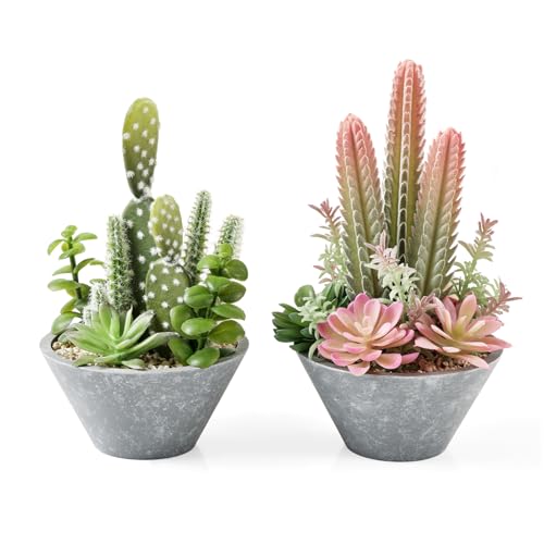 2-Pack Artificial Succulent Plants in Vintage Plastic Pots - Waterproof Fake Plants Decor for Home Office Desk - Low Maintenance Indoor Greenery for Bathroom, Shelf & Table - color: Succulent-b-2pcs