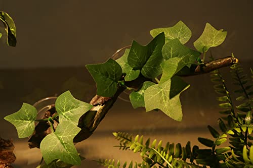 AQUA KT Reptile Corner Branch Terrarium Plant Decoration with Suction Cup for Amphibian Lizard Snake Climbing - color: Climbing Branch