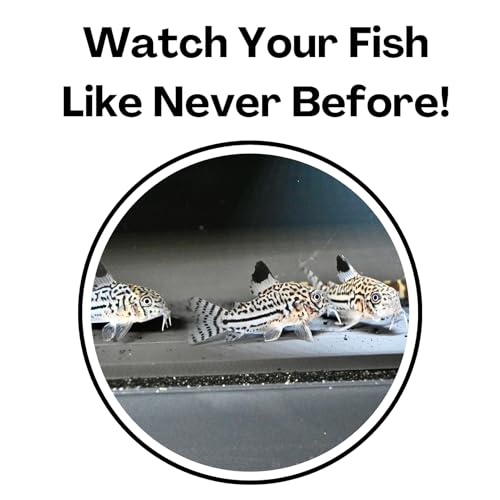 Aquarium Underground Tunnel Cave | Viewing Fish & Shrimp Under Gravel Tunnel | Fish Tank Decor Decoration Hideout Perfect for Corydora Catfish, Kuhli Loach, Clown Loach, Pleco - color: Black