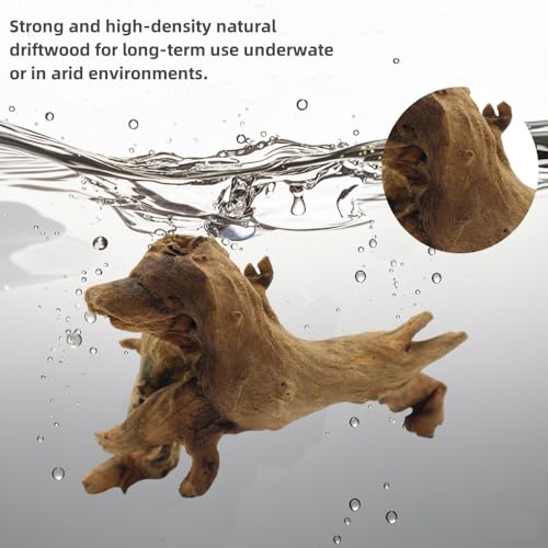 Driftwood for Aquarium Decor, Fish Tank Decor, 6 Pcs Reptile Branches, Drift Wood for Fishtank, Aquarium Hardscape, Crafts, Betta Fish Decor, Reptiles Driftwood Branch (Driftwood 2-8 Inch (Pack of 6)) - size: Driftwood 2-8 Inch (Pack of 6)