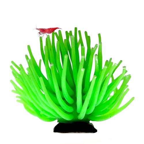 CTWPets Fluorescent Aquarium Decor – Glowing Fish Tank Ornament for Freshwater & Saltwater | Safe for Betta, Shrimp, & Tropical Fish | Includes Collector Card (Green, Large) - color: Green, size: Large