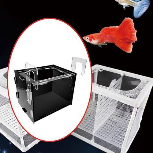 Fish Breeding Box Hatchery Sturdy Clear Acrylic Separation Incubator Isolation Box for Clownfish Betta Baby Fish Guppy, 20x15x15cm - size: 20x15x15cm